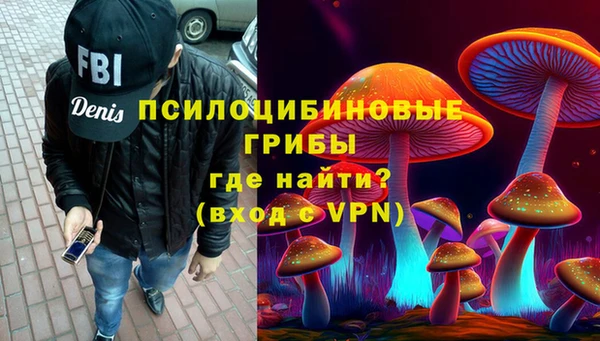спайс Алексин