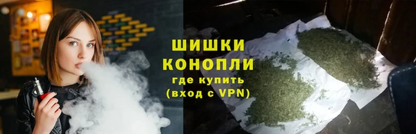 шишки Алексеевка