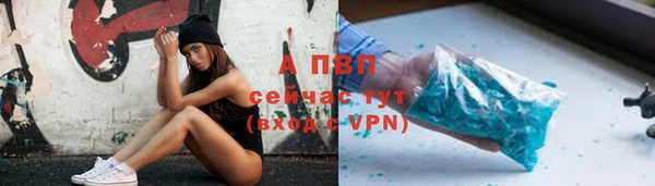 хмурый Арсеньев