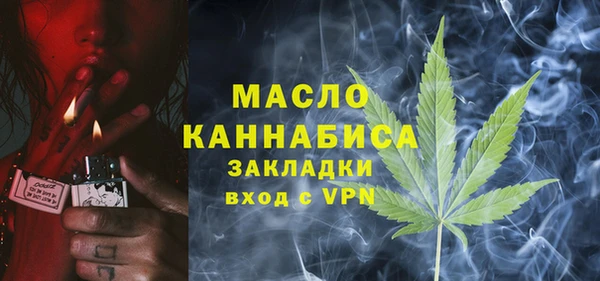 хмурый Арсеньев