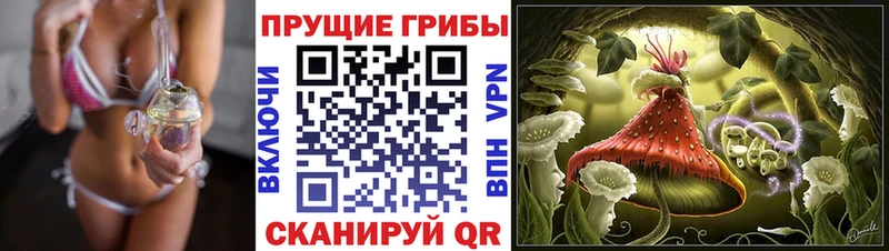 Псилоцибиновые грибы Magic Shrooms  гидра сайт  Строитель  дарк нет официальный сайт  купить наркоту 